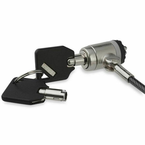 Veiligheidskabel Startech LTLOCKKEY 2 m 2