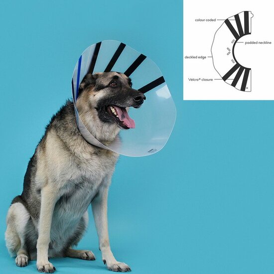 Lampenkap voor honden KVP EZ Clear (16-19 cm) 3