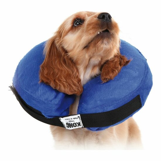 Herstelhalsband voor honden KVP Kong Cloud Blauw Opblaasbaar (25-33 cm) 1