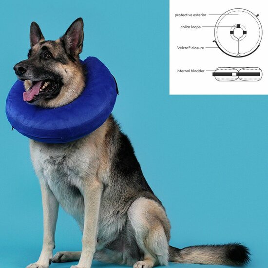 Herstelhalsband voor honden KVP Kong Cloud Blauw Opblaasbaar (+46 cm) 2