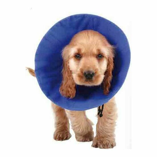 Lampenkap voor honden KVP EZ Soft Blauw (14-31 cm) 1