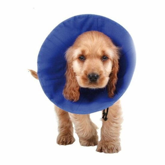 Lampenkap voor honden KVP EZ Soft Blauw (9-25 cm) 1