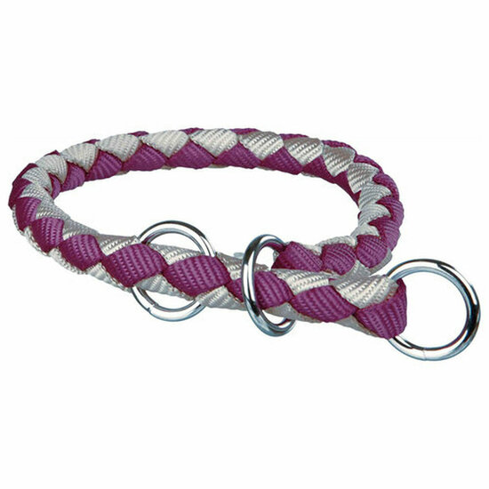 Hondenhalsband Trixie Bruin Zilverkleurig 25-31 cm 25-31cm 25 x 31 cm 2