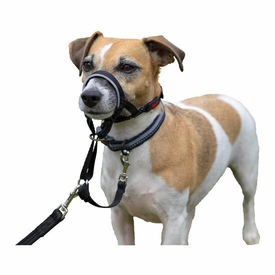 Trainingshalsbanden voor honden Company of Animals Halti Zwart Muilkorf (31-40 cm) 7