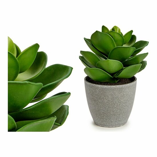 Decoratieve plant Grijs 16 x 21 x 16 cm Groen Plastic 1