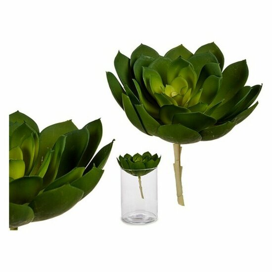 Decoratieve plant Groen Plastic 1