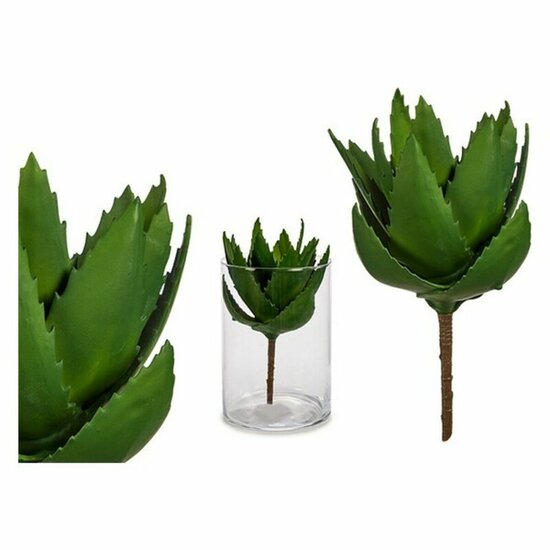 Decoratieve plant 8430852770363 Groen Plastic 1