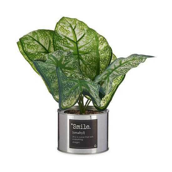 Decoratieve plant Smile Zilverkleurig Blik 26 x 26 x 26 cm Metaal Groen Plastic 1