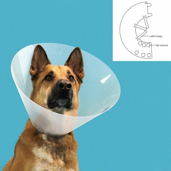 Lampenkap voor honden KVP Quick Fit Transparant (39-48 cm) 2