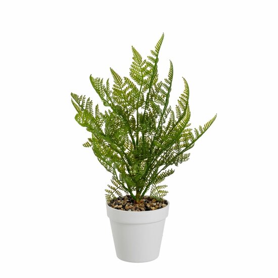 Decoratieve plant Polyethyleen Plastic Vaatplant 26 x 26 x 45 cm 1