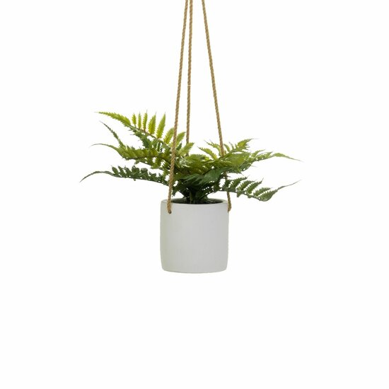 Decoratieve plant Polyethyleen Cement 30 x 30 x 24 cm 1