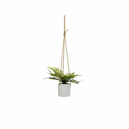 Decoratieve plant Polyethyleen Cement 30 x 30 x 24 cm 4