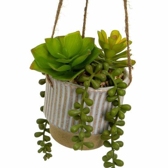 Decoratieve plant Keramisch Polyethyleen 13 x 13 x 20 cm 2