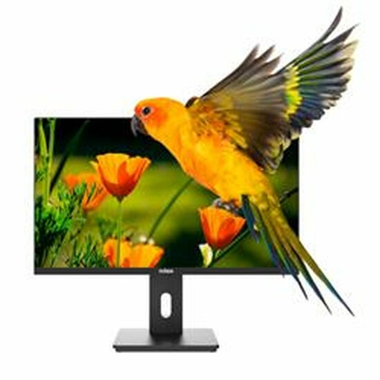 Monitor Nilox NXM24REG02 Full HD 75 Hz 1