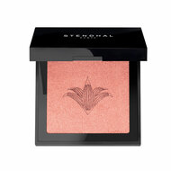 Oogschaduw Stendhal Highlighter N&ordm; 300 (5,5 g) 1