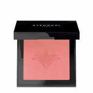 Oogschaduw Stendhal N&ordm; 301 Highlighter (5,5 g) 1