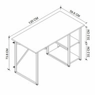 Bureau Alexandra House Living Zwart Ek Metaal Hout MDP 120 x 75 x 60 cm industrial 3