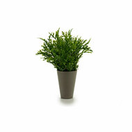 Bloempot Groen Plastic 13 x 25 x 13 cm 1