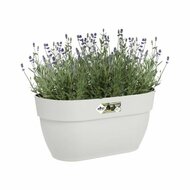 Bloempot Elho 3662603645100 Wit Plastic Rechthoekig Modern 24 x 36 x 26,5 cm 2