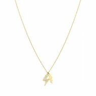 Dames ketting Mr. Wonderful WJ20100 60 cm 1