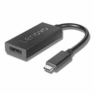 Adapter USB-C naar DisplayPort Lenovo 4X90Q93303 1