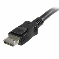 DisplayPort kabel Startech DISPLPORT6L          Zwart 2