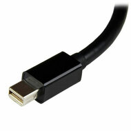 Mini DisplayPort naar DVI-Adapter Startech V932294 Zwart 2