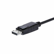 Adapter DisplayPort naar SVGA Startech DP2VGAA              Zwart 2