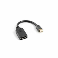 Mini DisplayPort naar DisplayPort Kabel Lanberg AD-0003-BK Zwart 10 cm 1