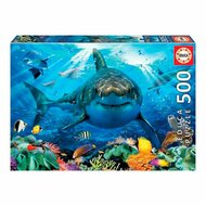 Puzzel White Shark Educa (500 pcs) 1