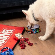 Voerbak voor honden Marvel Melamine 180 ml Rood Metaal 4