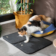 Mat voor kattenbak Clikatt InnovaGoods 1