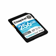 SD Geheugenkaart Kingston SDG3/256GB 256 GB 1