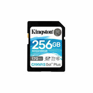 SD Geheugenkaart Kingston SDG3/256GB 256 GB 2