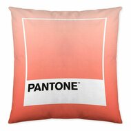 Kussenhoes Ombre B Pantone Localization-B086JQB7QD Omkeerbaar 50 x 50 cm 1