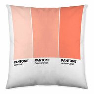 Kussenhoes Ombre B Pantone Localization-B086JQB7QD Omkeerbaar 50 x 50 cm 2