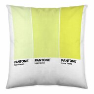 Kussenhoes Ombre C Pantone Localization_B086JQZYZH Omkeerbaar 50 x 50 cm 1