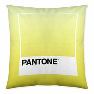 Kussenhoes Ombre C Pantone Localization_B086JQZYZH Omkeerbaar 50 x 50 cm 2