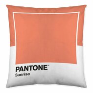 Kussenhoes Wide C Pantone Localization-B086JPW2VB Omkeerbaar 50 x 50 cm 2