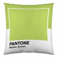 Kussenhoes Wide Pantone Localization-B086JPN8MY 50 x 50 cm 2