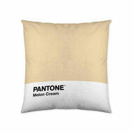 Kussenhoes Melon Cream Pantone 63836415 50 x 50 cm 1