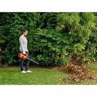 BladblazerBlack &amp; Decker BCBL200L-QW Lakens 4