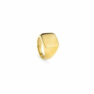 Heren ring Radiant RH000027-24 24 1