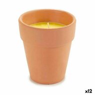 Kaars Citronella 8 x 8 x 8 cm (12 Stuks) 1