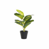 Decoratieve plant DKD Home Decor PVC Polypropyleen 25 x 25 x 30 cm 1