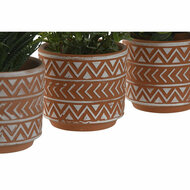 Decoratieve plant Home ESPRIT Polyethyleen Cement 12 x 12 x 17 cm (3 Stuks) 3