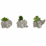 Decoratieve plant Home ESPRIT Polyethyleen Cement 8 x 5 x 7 cm (3 Stuks) 1