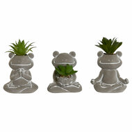 Decoratieve plant Home ESPRIT Polyethyleen Cement Kikker 7,5 x 5 x 11 cm (3 Stuks) 1