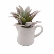 Decoratieve plant Versa Keramisch Plastic 11,43 x 11,94 x 11,43 cm 1