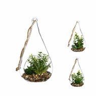 Decoratieve plant Atmosphera 10 x 19,5 cm Kristal Groen 1